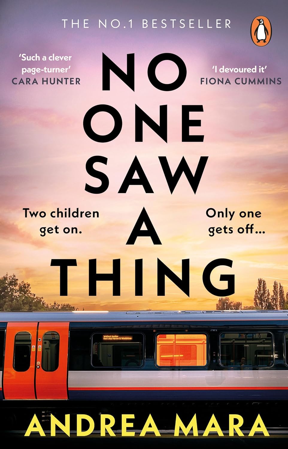 No One Saw a Thing: by Andrea Mara Paperback