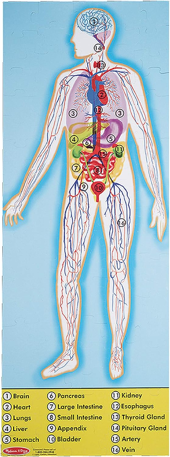 Melissa & Doug Human Anatomy 2-Sided Jumbo Jigsaw Floor Puzz